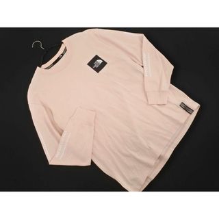 ザノースフェイス(THE NORTH FACE)のTHE NORTH FACE ザノースフェイス NT31965 RAGE L/S Box Logo Tee レイジ ロングスリーブ ボックス ロゴ ティー 長袖 Tシャツ sizeM/ピンク ■◇ メンズ(Tシャツ/カットソー(七分/長袖))