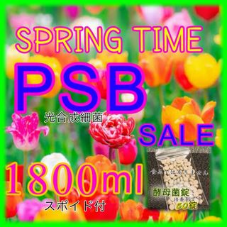 ⭐️ 春のPSB SALE   1800ml&酵母菌50錠　セット