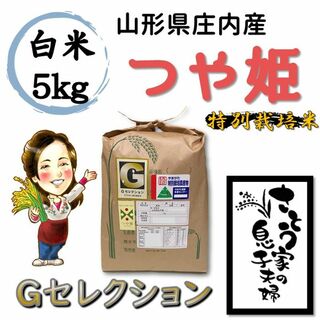 山形県庄内産　つや姫　白米5kg　Ｇセレクション　特別栽培米(米/穀物)