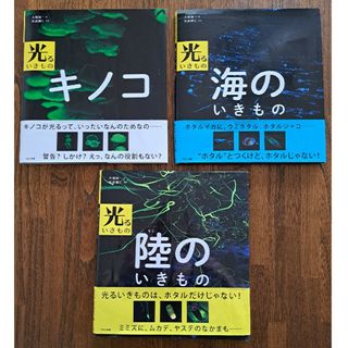 クモン(KUMON)の光るいきものシリーズ 3冊 まとめ売り キノコ 海のいきもの 陸のいきもの(絵本/児童書)