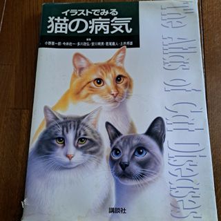 イラストでみる猫の病気(住まい/暮らし/子育て)