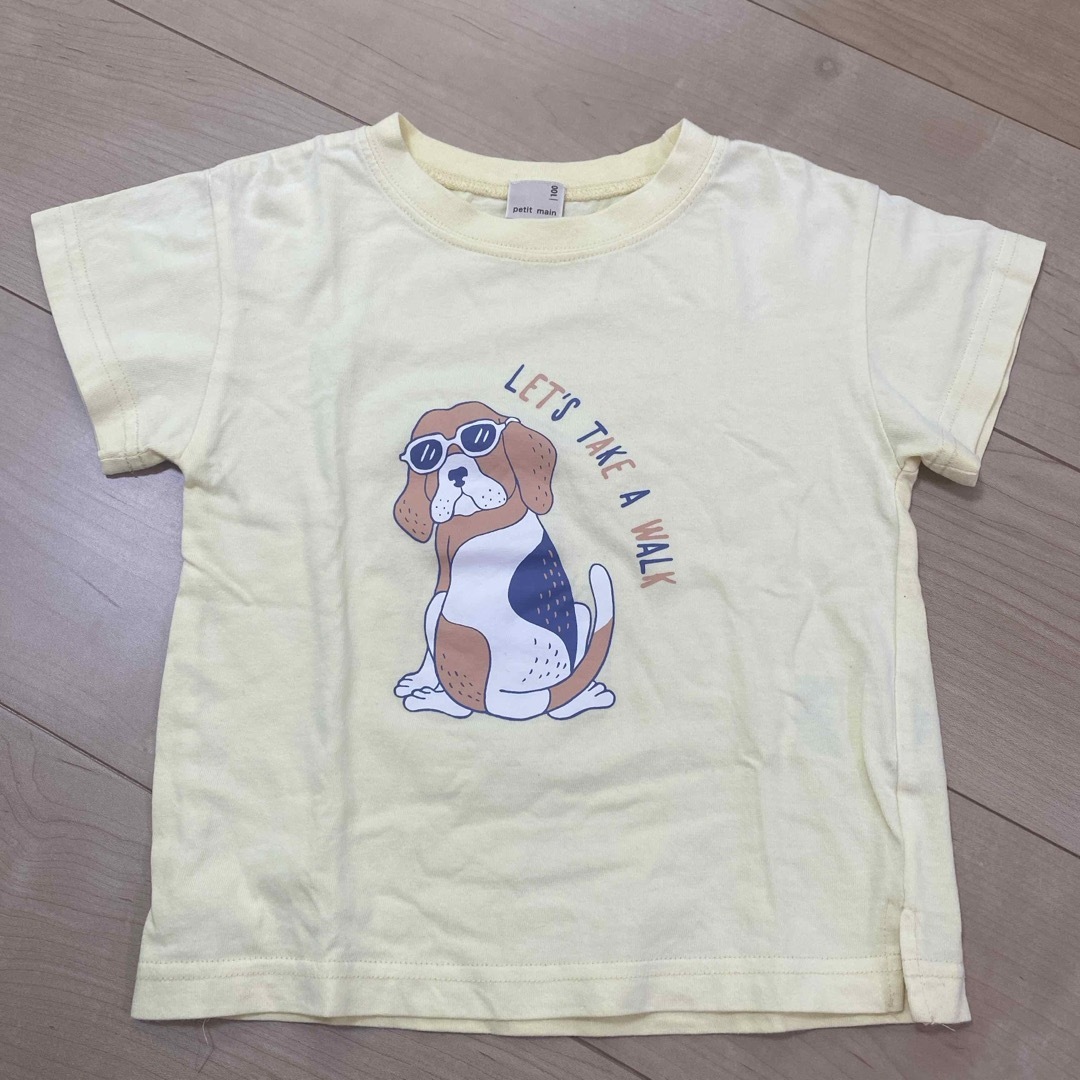 petit main(プティマイン)のプティマイン☆Tシャツ☆中古 キッズ/ベビー/マタニティのキッズ服男の子用(90cm~)(Tシャツ/カットソー)の商品写真