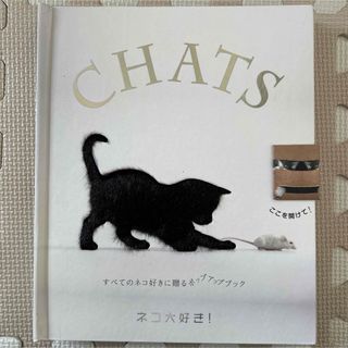 ネコ大好き!ポップアップブック　CHATS(その他)