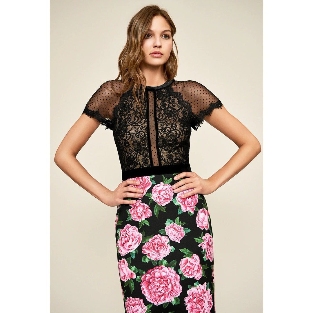 TADASHI SHOJI - TADASHI SHOJI 芍薬の花咲き誇る美形レース TADASHI SHOJI - TADASHI SHOJI 芍薬の花咲き誇る美形レース