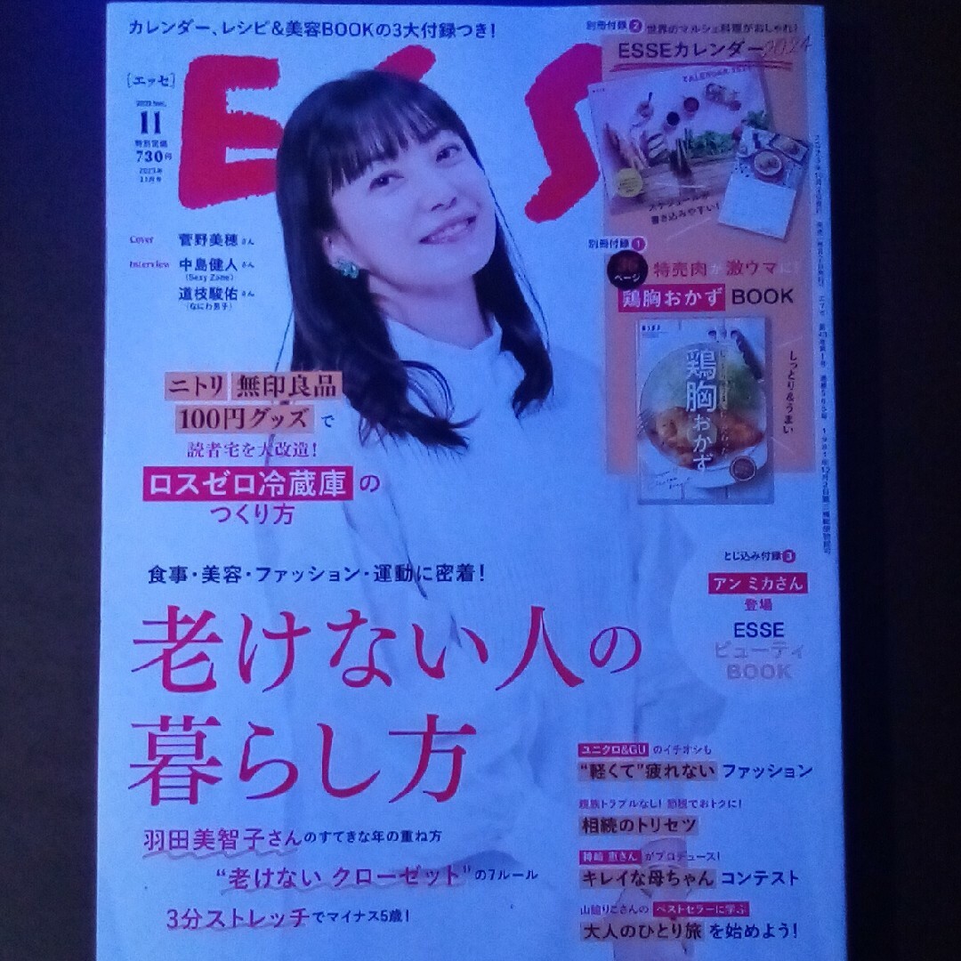 ESSE (エッセ) 2023年 11月号 [雑誌] エンタメ/ホビーの雑誌(生活/健康)の商品写真