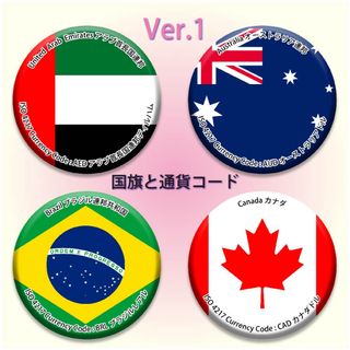 【第1弾】国旗と通貨コード　缶バッジ4点セット　56ミリ　安全ピンタイプ(キャラクターグッズ)