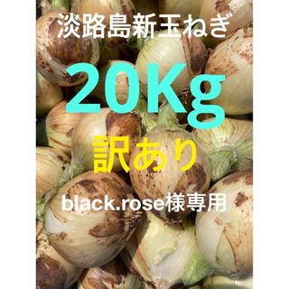 ⭕️訳あり20Kg⭕️淡路島新玉ねぎ　たまねぎ　玉葱(野菜)