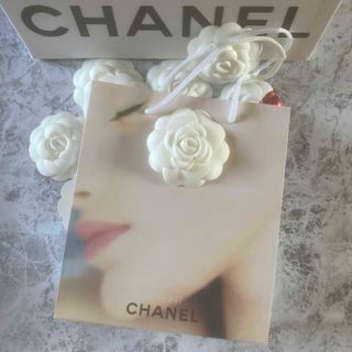 CHANEL - CHANEL シャネル ショップ袋✨レア✨　　非売品 ショッパー