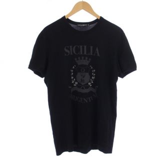 ドルチェアンドガッバーナ(DOLCE&GABBANA)のDOLCE&GABBANA Tシャツ カットソー 半袖 クルーネック L 黒(Tシャツ/カットソー(半袖/袖なし))