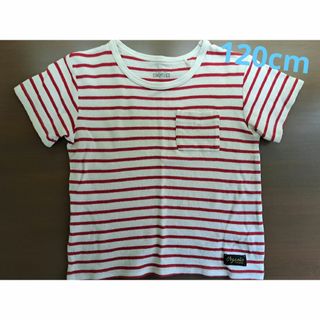 しまむら - キッズ 半袖 Tシャツ ボーダー 赤白 120cm