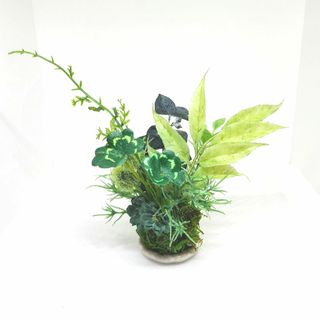 苔玉グリーンアレンジ(雑貨)