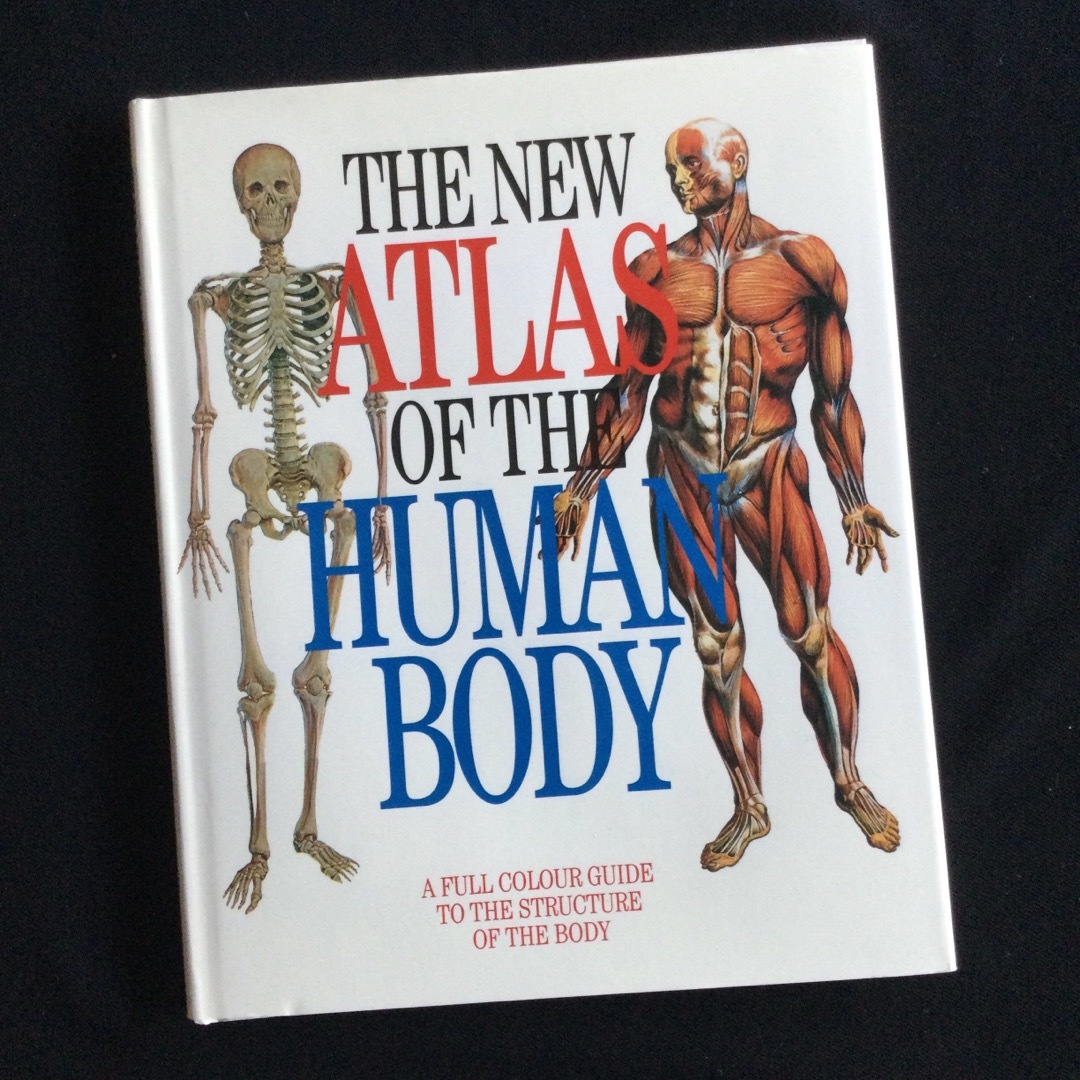 人体のしくみ　構造　イラスト　洋書　英語　Human Body 図鑑　Atlas エンタメ/ホビーの本(洋書)の商品写真