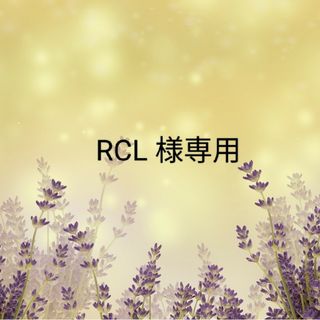 ザセム(the saem)のRCL 様専用(コンシーラー)