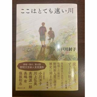 ここはとても速い川(文学/小説)