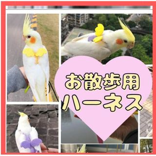 鳥用　ハーネス　散歩 リード 羽 ハーネス 小動物 ペット用(鳥)