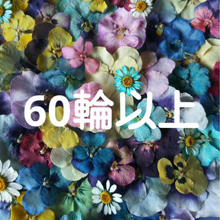 ビオラMix　60輪以上(各種パーツ)