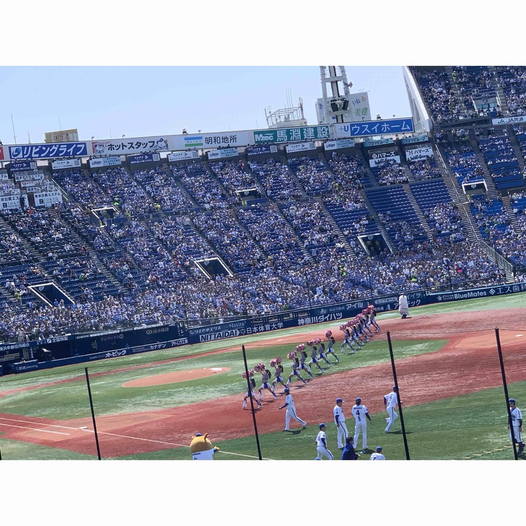 4/23(火)横浜DeNA vs 阪神タイガース　内野C ペア チケットのスポーツ(野球)の商品写真