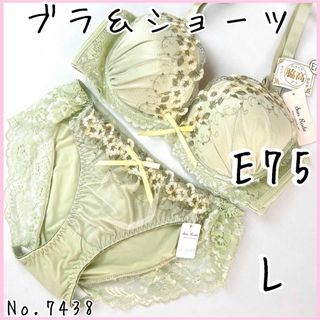 ブラジャーショーツセットE75   No.7438(ブラ&ショーツセット)