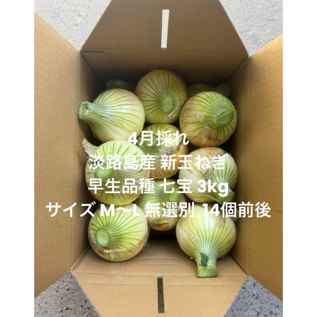 兵庫県 淡路島産 4月採れ 新玉ねぎ M～L 3kg早生品種 七宝 14個前後 食品/飲料/酒の食品(野菜)の商品写真