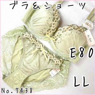 ブラジャーショーツセットE80    No.7438(ブラ&ショーツセット)