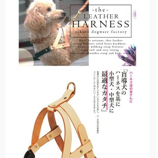 高級レザーハーネス(犬)