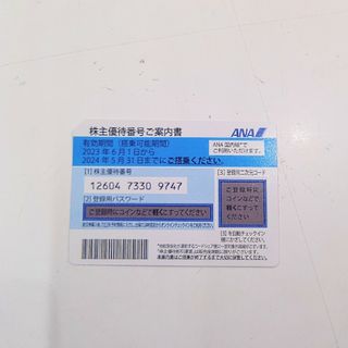 ANA　株主優待券　1枚　送料無料　800円！(その他)