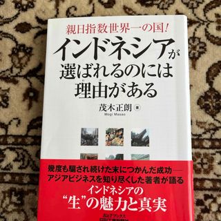 インドネシアが選ばれるのには理由がある(ビジネス/経済)