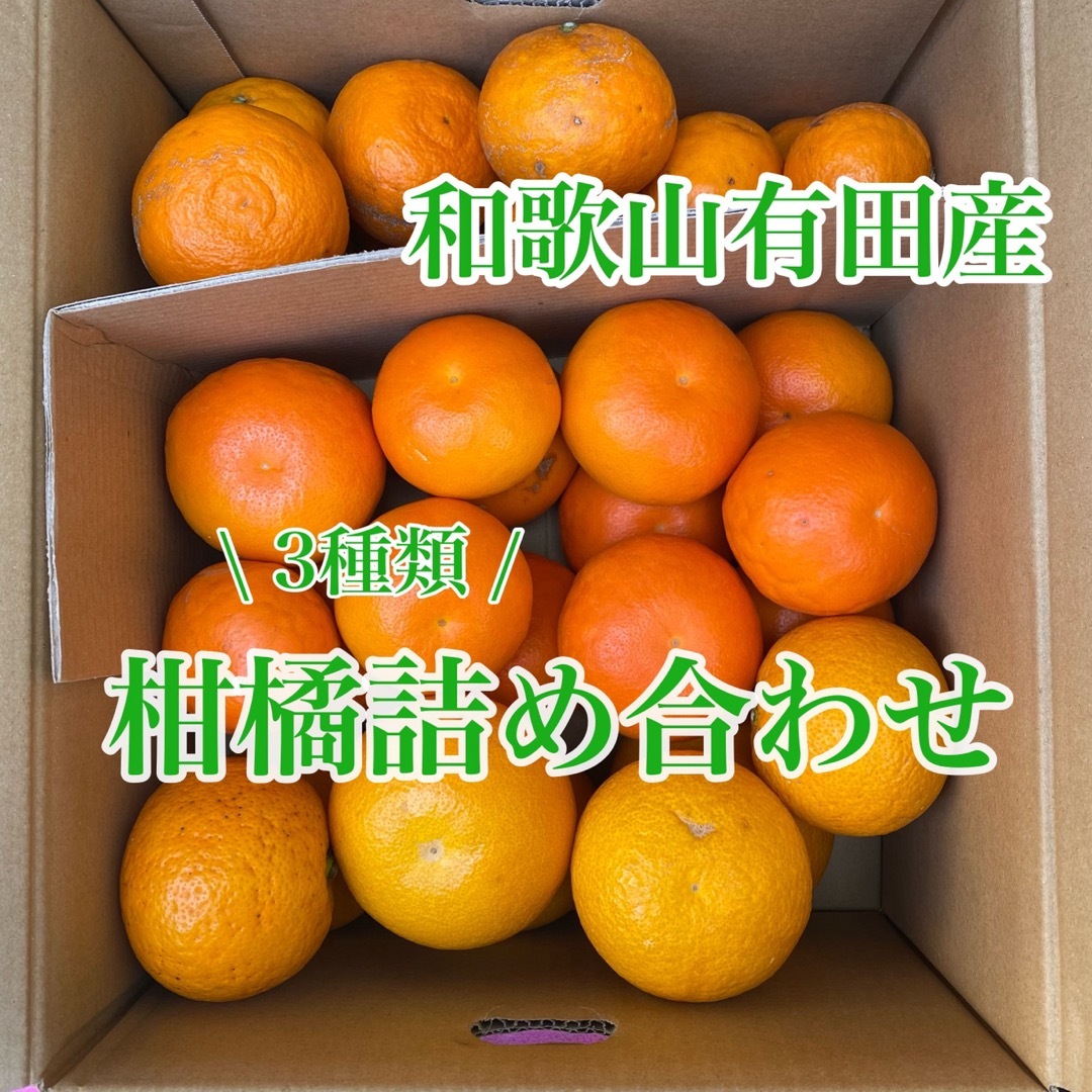 和歌山有田産　3種類の柑橘詰め合わせ(おまけ付き) 食品/飲料/酒の食品(フルーツ)の商品写真