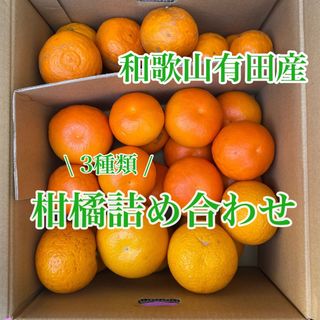 和歌山有田産　3種類の柑橘詰め合わせ(おまけ付き)(フルーツ)