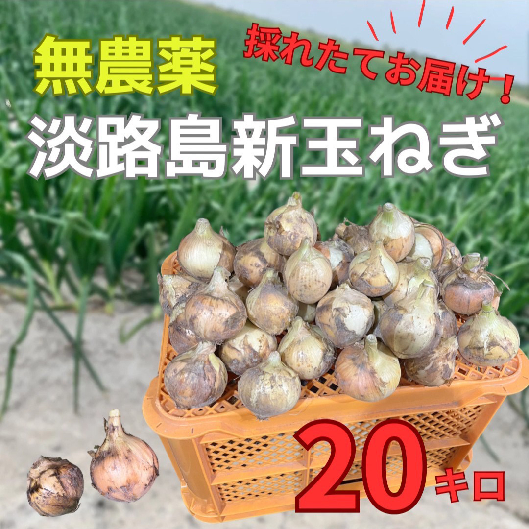 【産地直送】美味しい♪無農薬 淡路島新玉ねぎ 20kg 食品/飲料/酒の食品(野菜)の商品写真