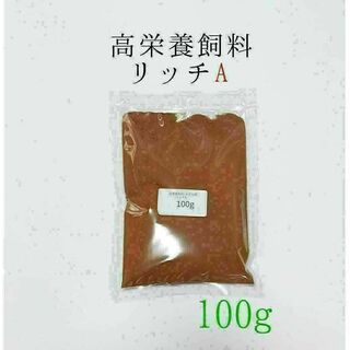 高栄養飼料 メダカ餌 リッチA 100g アクアリウム 熱帯魚 グッピー(アクアリウム)