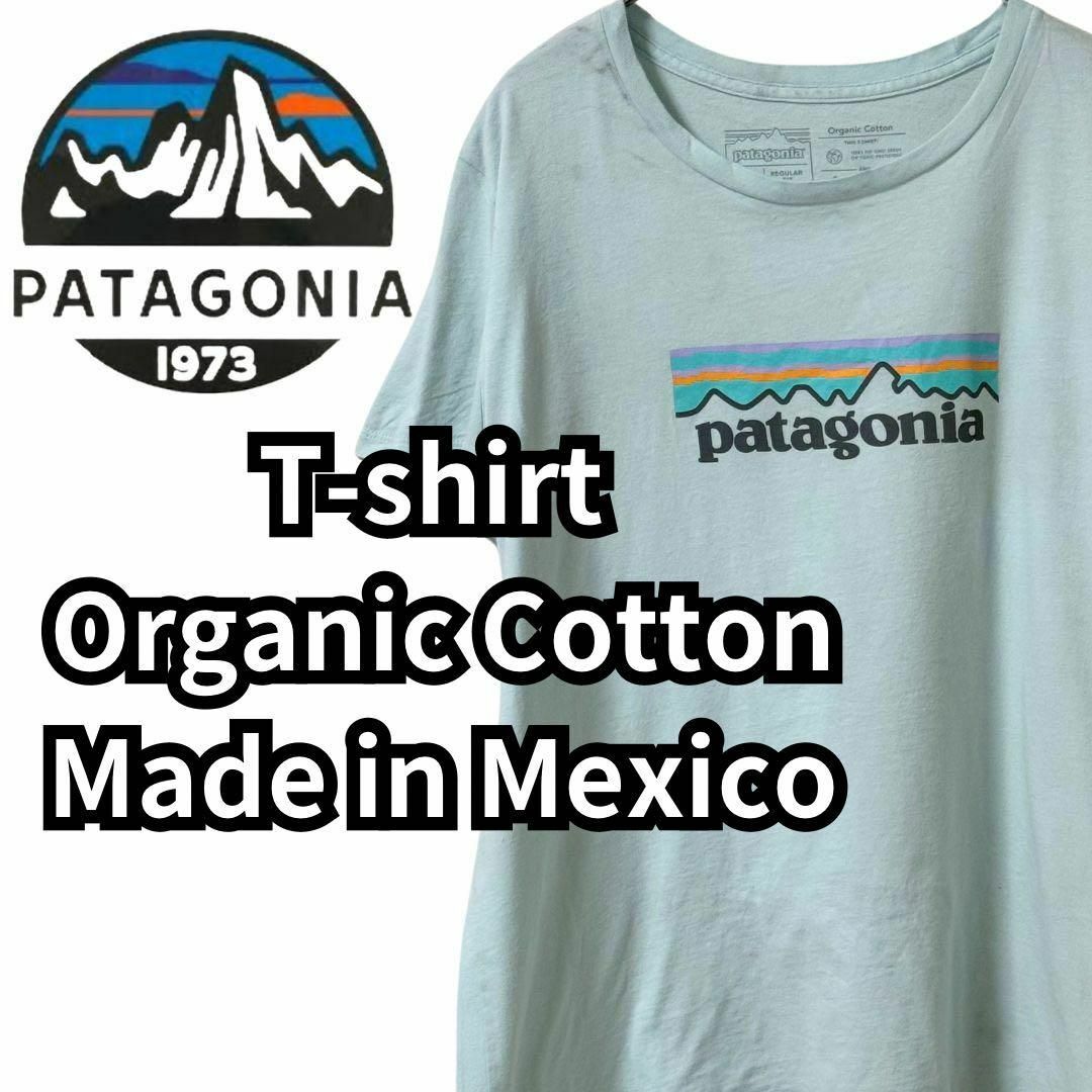 patagonia(パタゴニア)のパタゴニア　オーガニックコットン　Tシャツ 企業ロゴ　プリント　ユニセックス　M メンズのトップス(Tシャツ/カットソー(半袖/袖なし))の商品写真