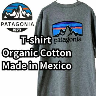 パタゴニア(patagonia)のパタゴニア　オーガニックコットン　メキシコ製　Tシャツ　プリント　ユニセックスM(Tシャツ/カットソー(半袖/袖なし))