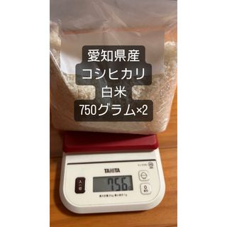 愛知県産　コシヒカリ　白米　750グラム×2セット(米/穀物)