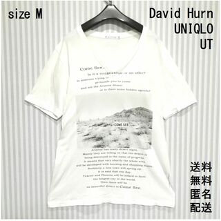 ユニクロ(UNIQLO)のユニクロ【M】デビッドハーン【UT】Tシャツ【フォトデザイン】送料無料 匿名配送(Tシャツ/カットソー(半袖/袖なし))