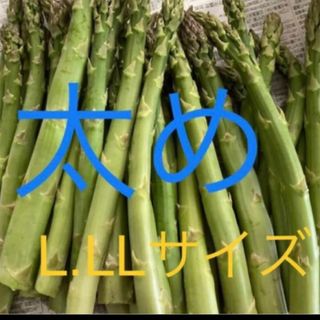 アスパラ　500g 太(その他)