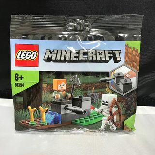 レゴ(Lego)のLEGO レゴ マインクラフト ミニセット アレックスとスケルトン 30394(知育玩具)