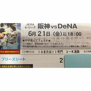 ハンシンタイガース(阪神タイガース)の6/21(金)　阪神DeNA　通路横ブリーズシートペア(野球)