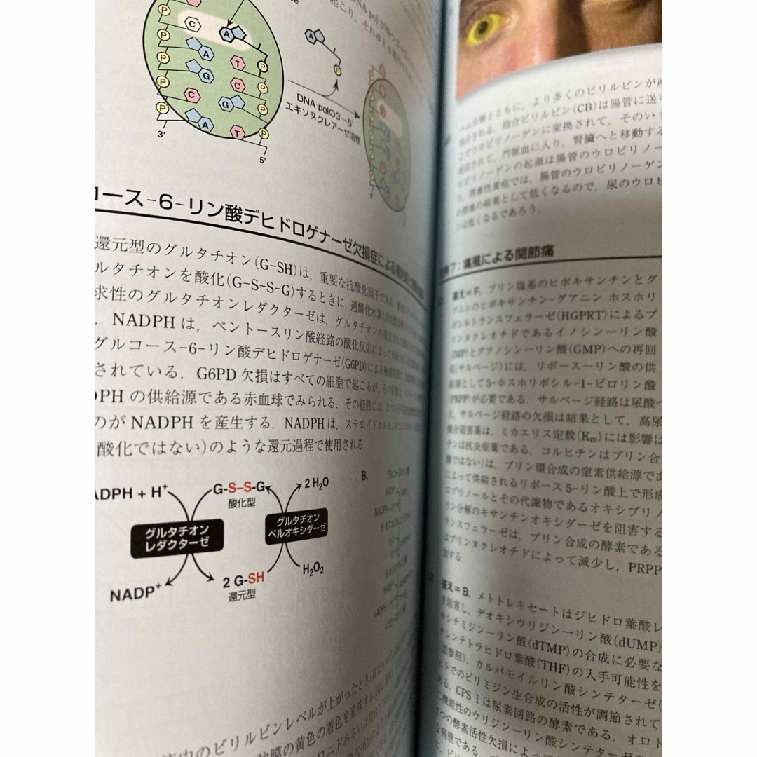 リッピンコットシリーズ イラストレイテッド生化学 原書6版の通販 by Dentiste22's shop|ラクマ リッピンコットシリーズ イラストレイテッド生化学 原書6版の通販 by Dentiste22's shop|ラクマ