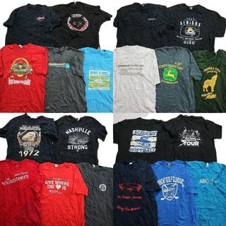 古着卸 まとめ売り カラーmix プリント 半袖Tシャツ 20枚セット (メンズ XL /2XL ) 英字プリント アニマル ブラック系 MS5302(その他)