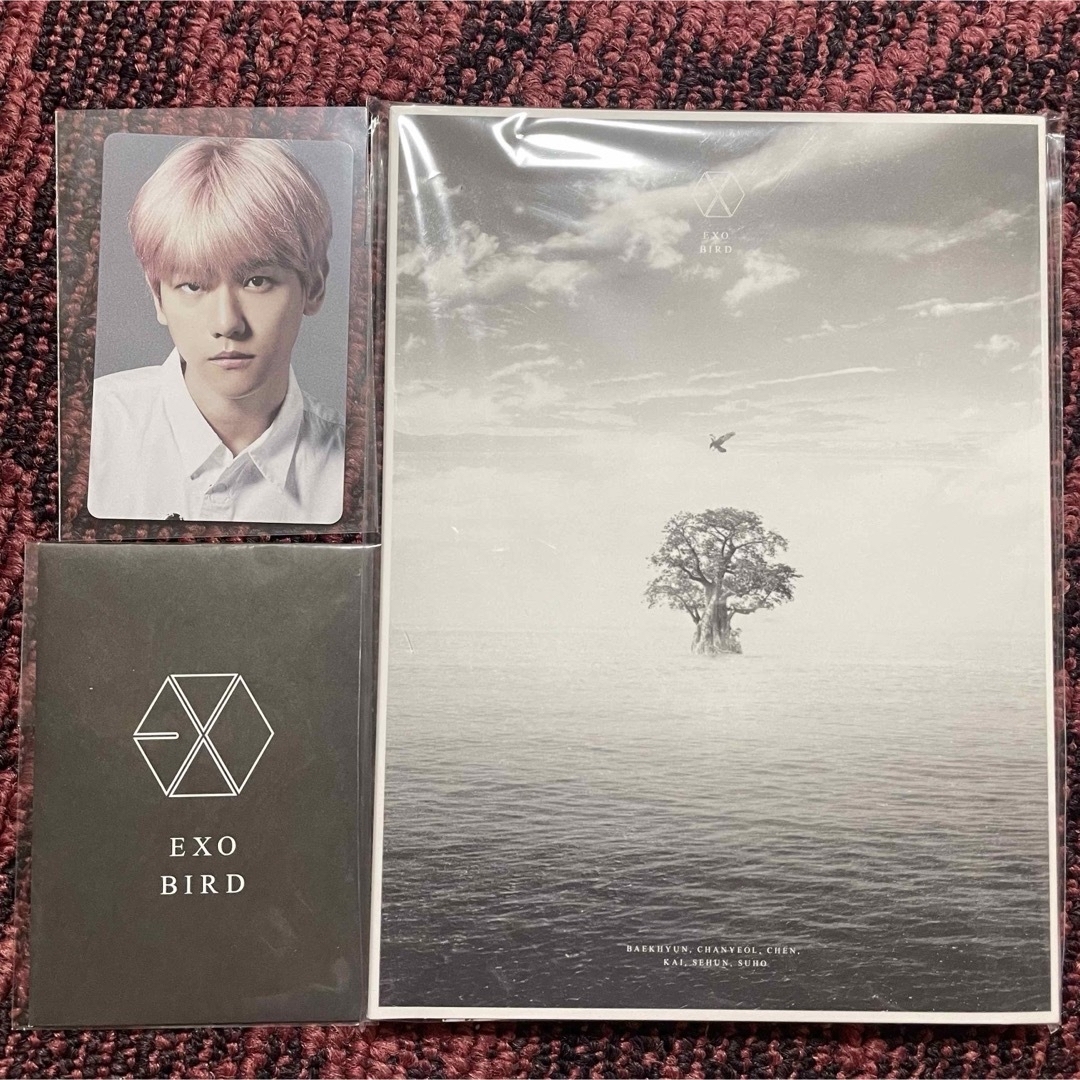 EXO(エクソ)の【30日終了】EXO BIRD Blu-ray ベッキョン トレカ付き エンタメ/ホビーのCD(K-POP/アジア)の商品写真