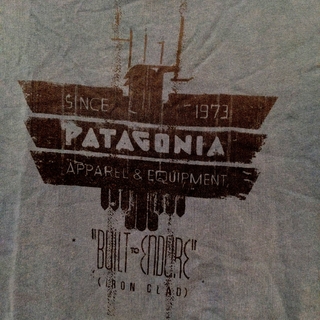 パタゴニア(patagonia)のパタゴニア　Tシャツ(Tシャツ/カットソー(半袖/袖なし))