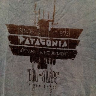 パタゴニア(patagonia)のパタゴニア　Tシャツ(Tシャツ/カットソー(半袖/袖なし))