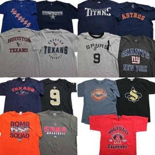 古着卸 まとめ売り プロチーム 半袖Tシャツ 15枚セット (メンズ L ) TEXANS CUBS ASTROS GIANTS MS5630(その他)