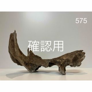 流木【575】(置物)