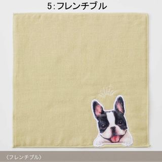 フェリシモ(FELISSIMO)の♣︎【新品未開封】フェリシモ★犬 タオルハンカチ フレンチブルドッグ(キャラクターグッズ)