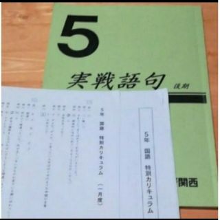 日能研　国語　実戦語句とカリキュラム(語学/参考書)