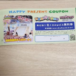 ハピピランド 大人無料券 ラグーナ蒲郡店(その他)