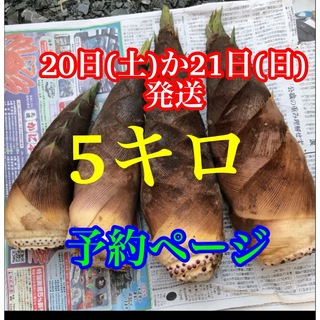 タケノコ　5キロ  当日発送　米ぬか付き(野菜)