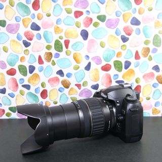 ニコン(Nikon)の♥︎◇Nikon D70 ◇近くから遠くまでこなせる豪華ズームレンズセット♪(デジタル一眼)